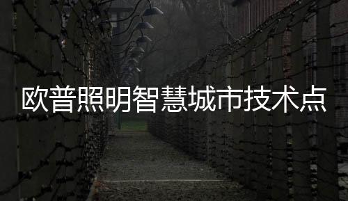 照明智慧庄乡8项技术专利