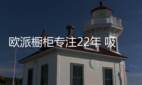 堪称“吸塑之王”