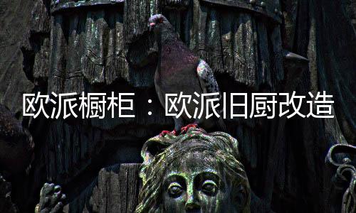 橱柜10天就可以焕新全厨空间
