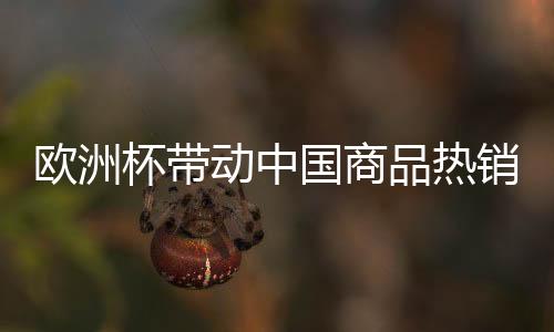 球鞋、欧洲除足球外