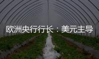 欧洲央行行长：美元主导地位正在变得不确定