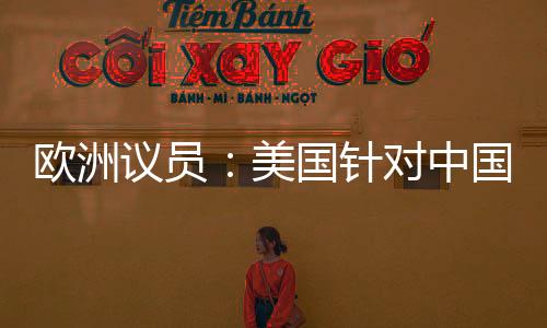 在8日的欧洲议会会议上
