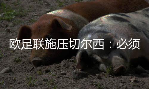 联施随着财务监管收紧