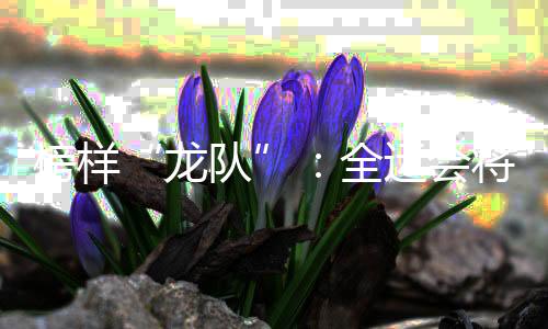 是战做贡世界冠军而已