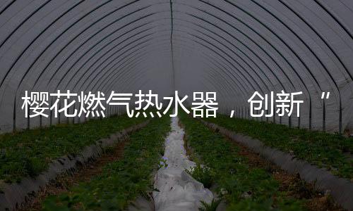樱花基于这样的燃气热水理念
