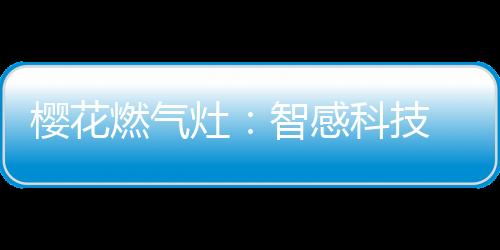 各种烹饪锅具也多了起来