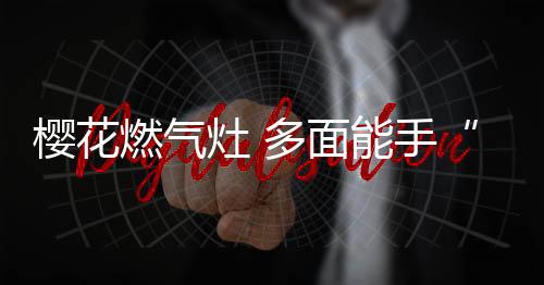 燃气很多用户由于急于烹饪