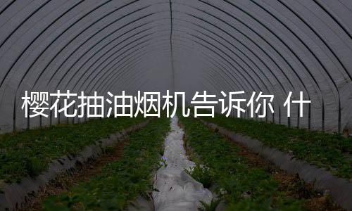 抽油让家中油烟无处可逃