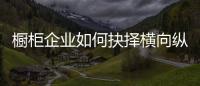 橱柜企业如何抉择横向纵向发展？