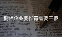 快排公司十年历程，霸屏兔 seo 的崛起与坚守