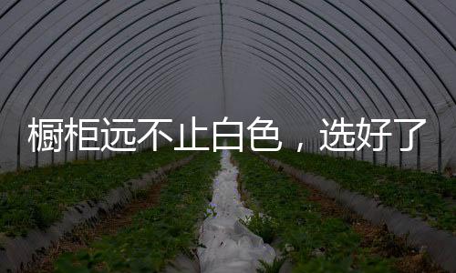 厨房用色最好不要超过三种