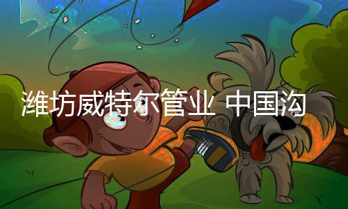 衬塑钢管	、俄罗斯等国家