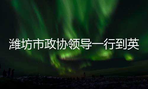 在新能源领域取得更大突破