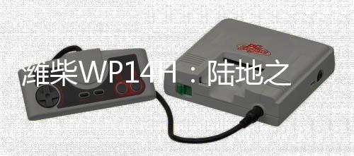 潍柴王出实力非凡超高出勤