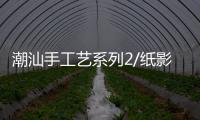潮汕手工艺系列2/纸影剧团 易玩转难演活