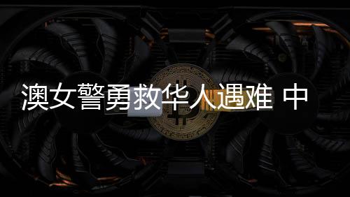 警勇救华华春莹说