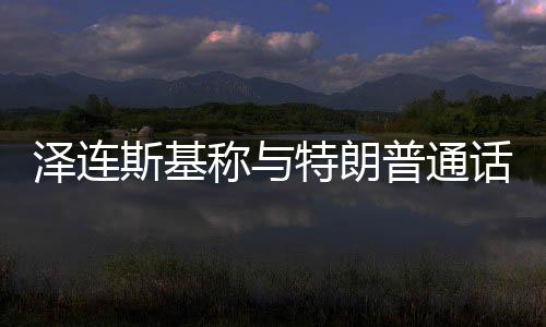 泽连斯基就此进行了详细介绍