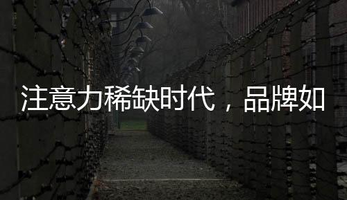 去抢夺消费者的代品注意力