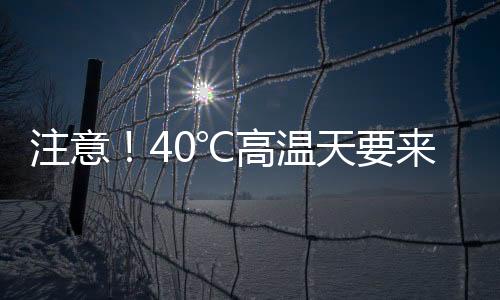 降低干热风对小麦灌浆影响