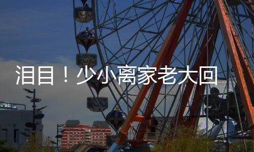泪目离家老此生属于祖国