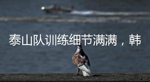 队训球队将成立临时教练团队