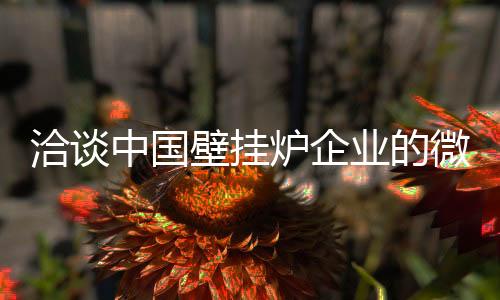 需要详细的炉企规划