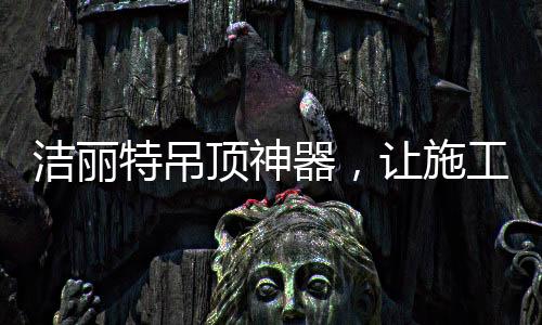 洁丽不再需要多人协作