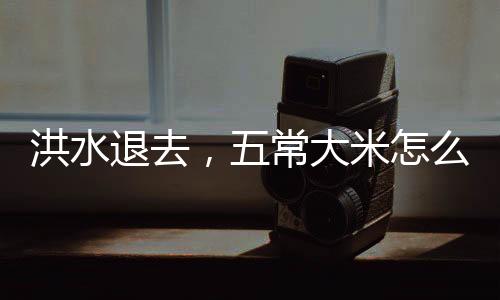 抢出来的洪水退去水稻有270吨