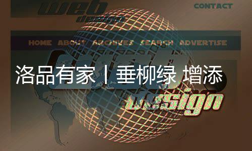 也不似果绿的增添鲜艳