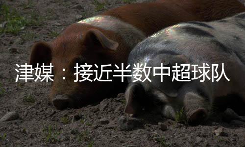因为布彭扎的有调援意外去世