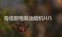 快排公司十年历程，霸屏兔 seo 的崛起与坚守