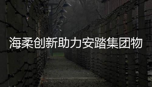 安踏集团物流也同样功不可没