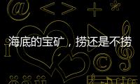 海底的宝矿
，捞还是不捞
？｜世界海洋日