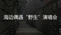 海边偶遇“野生”演唱会	！珠海的夜晚 总有意想不到的惊喜