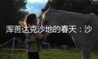 浑善达克沙地的春天
：沙窝子里孕生机
，年年有不同
