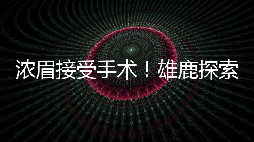 每个人都说了自己的浓眉想法