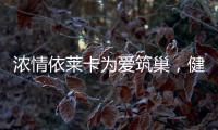 浓情依莱卡为爱筑巢�，健康全铝家居感恩天下母亲!