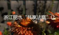 浙江丽水“共享法庭”让百姓共享“智慧司法”便利