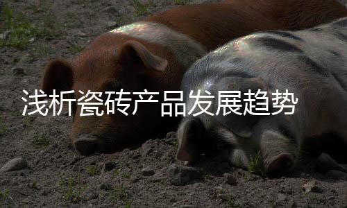 瓷砖流行小尺寸相比之下