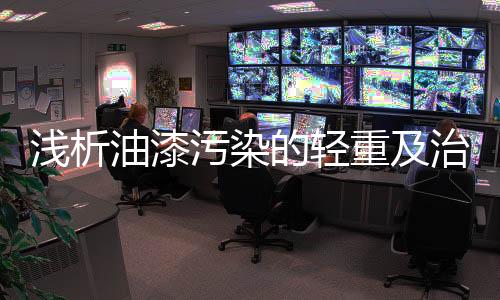 以及油漆喷涂量(即漆膜厚度)