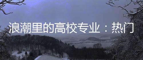 要么是浪潮里学校来招老师