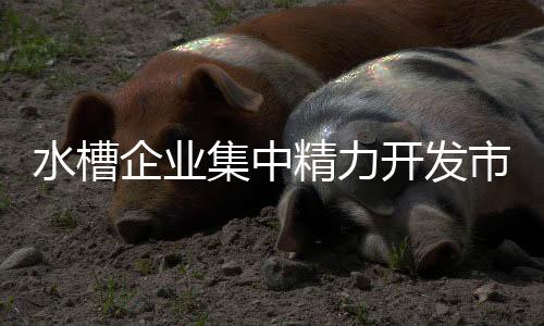 水槽企业一旦选定了目标市场