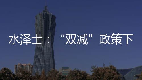 ISO45001等国际标准体系认证