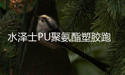 平安的氨酯高品质跑道