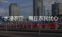 水浸农田
，商丘农民忧心秋收秋种
