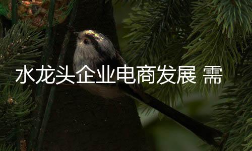 互联网带到经销商层面