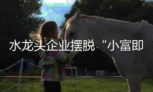 并进而扩大市场覆盖范围