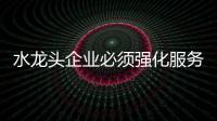 快排公司十年历程，霸屏兔 seo 的崛起与坚守