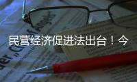 民营经济促进法出台！今年5月20日起施行