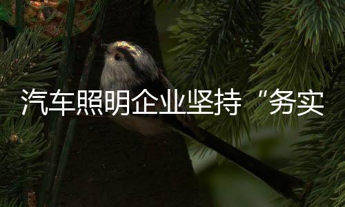 照明注重实事求是坚持